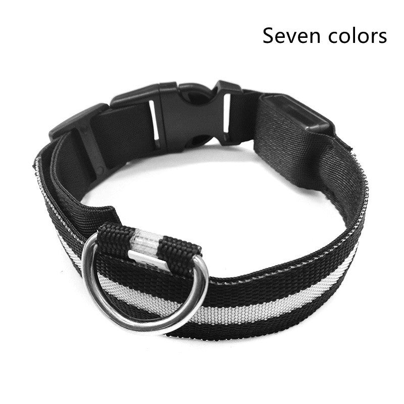 Bright Light - Pet Collar
