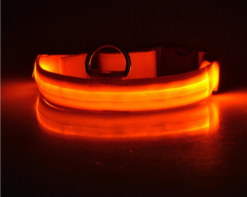 Bright Light - Pet Collar
