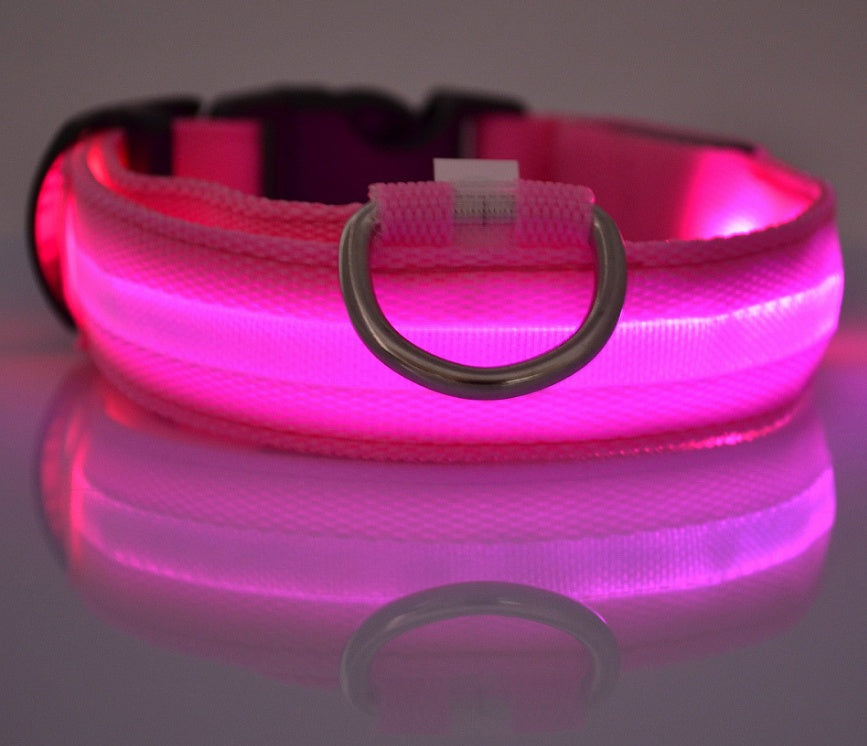 Bright Light - Pet Collar