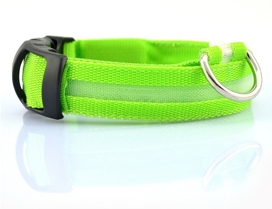 Bright Light - Pet Collar