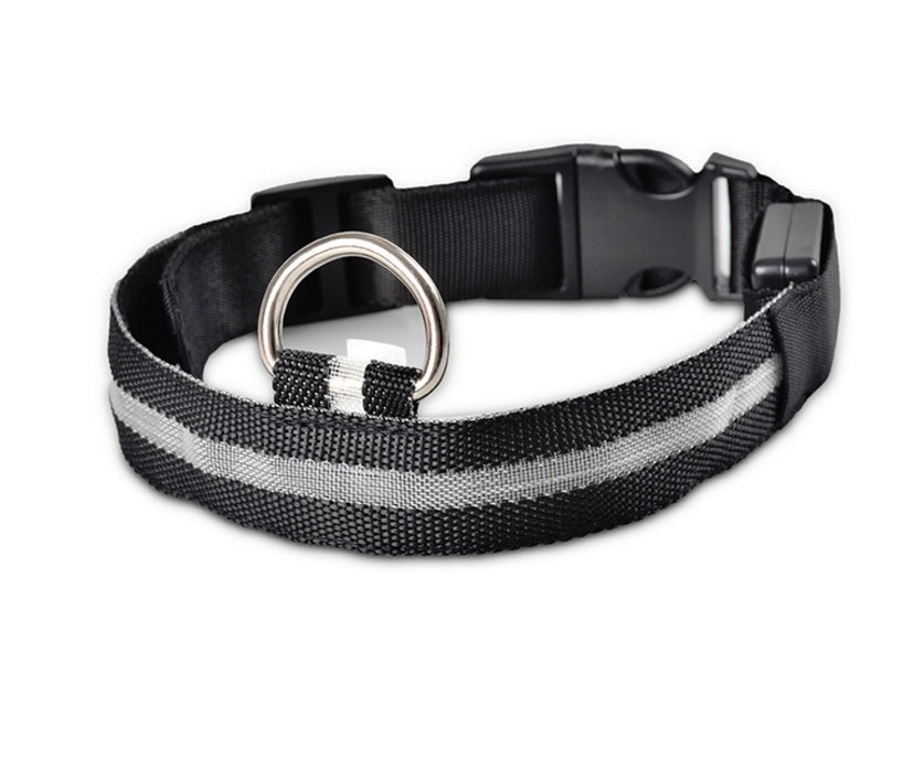 Bright Light - Pet Collar