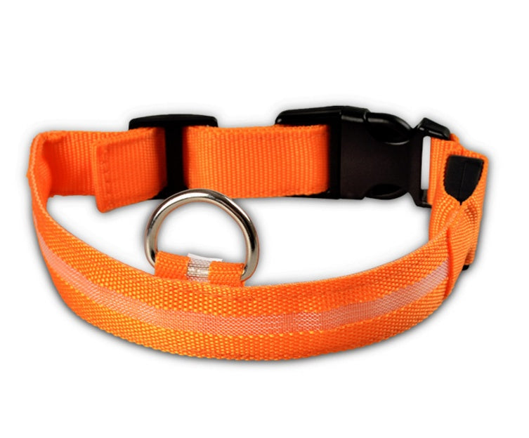 Bright Light - Pet Collar