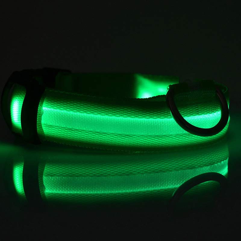 Bright Light - Pet Collar