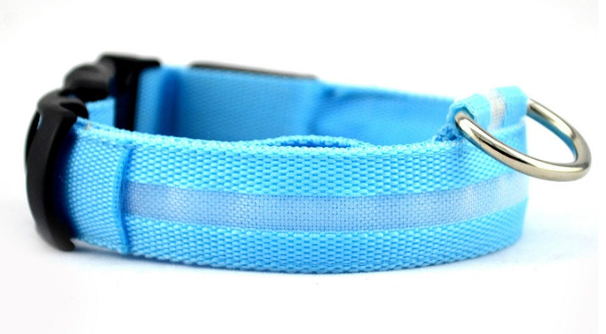 Bright Light - Pet Collar