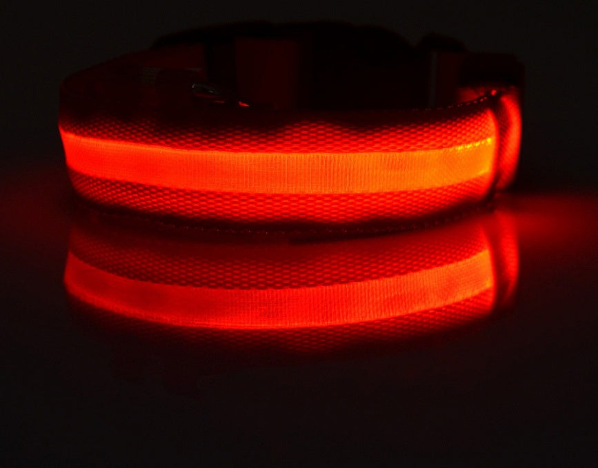 Bright Light - Pet Collar