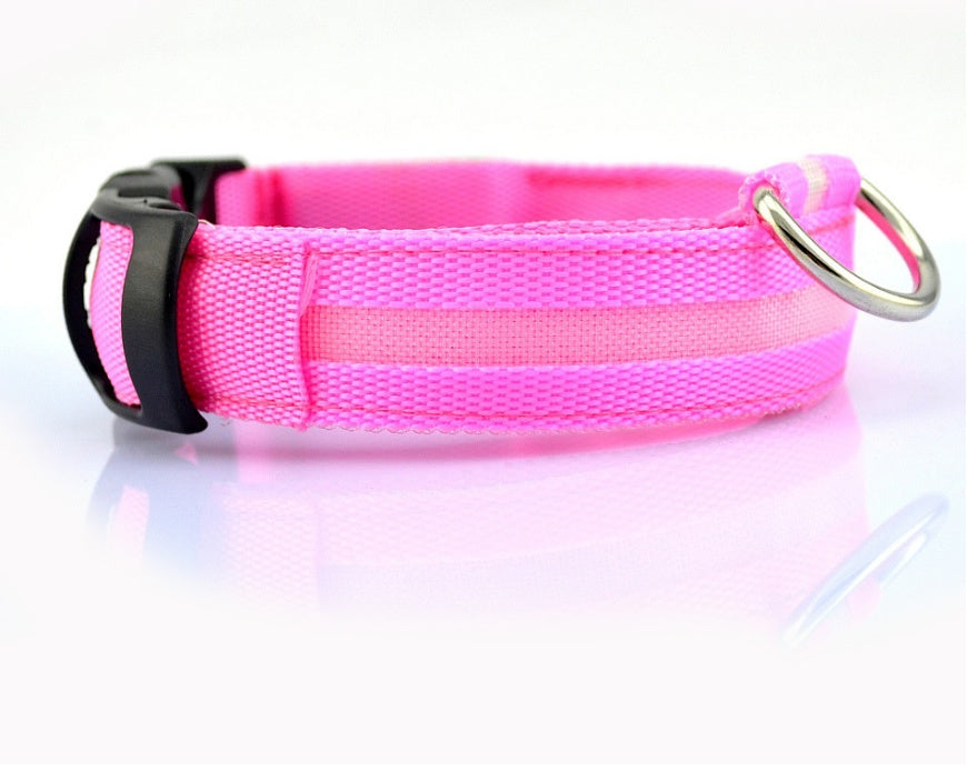 Bright Light - Pet Collar