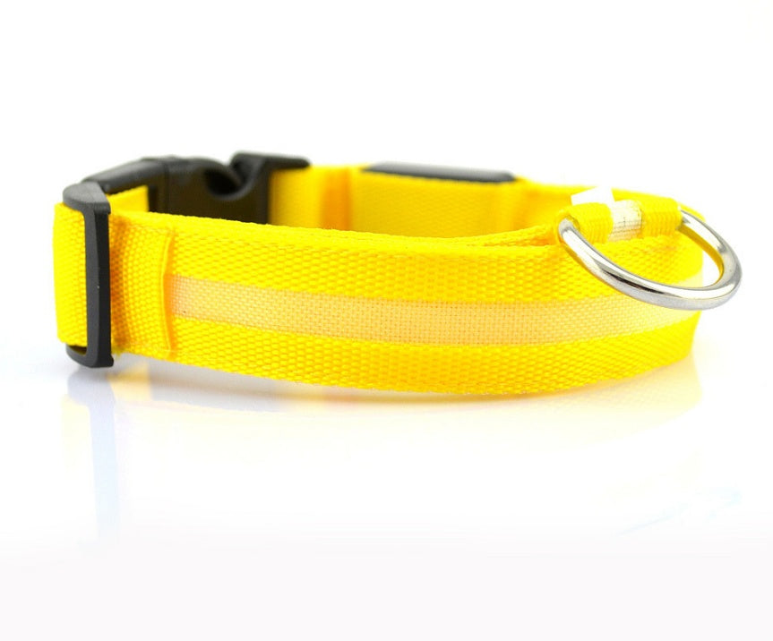 Bright Light - Pet Collar