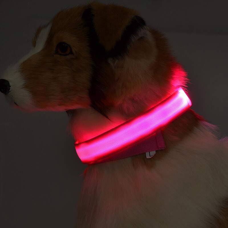 Bright Light - Pet Collar