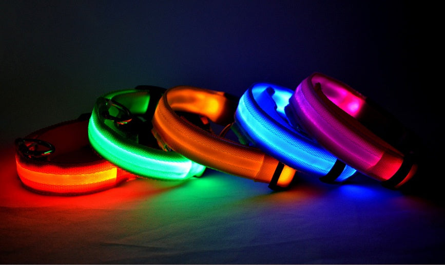 Bright Light - Pet Collar