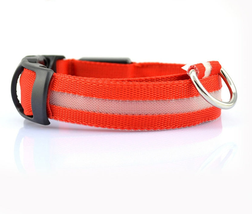 Bright Light - Pet Collar