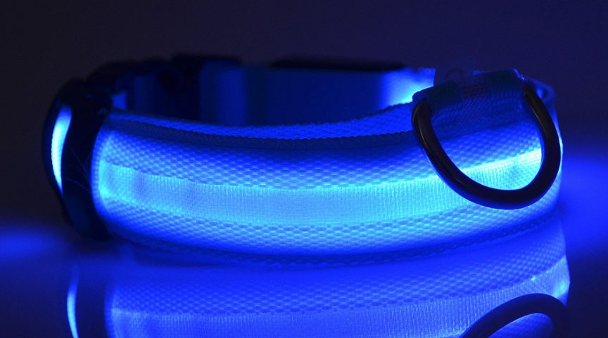 Bright Light - Pet Collar